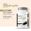 Vedistry Shilajit Gold